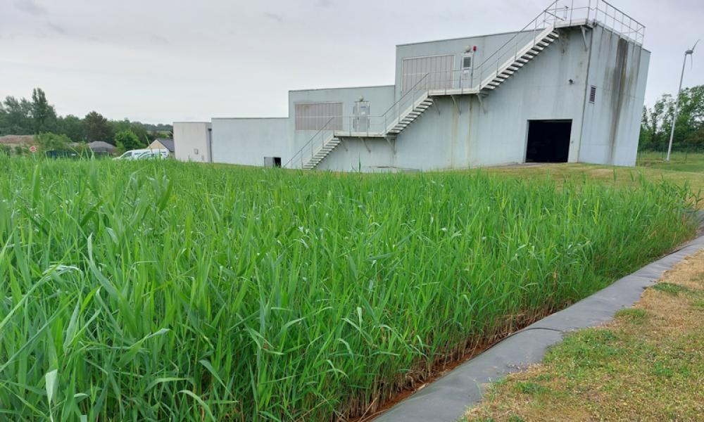 unité de production d'eau potable de saint-mars-du-désert